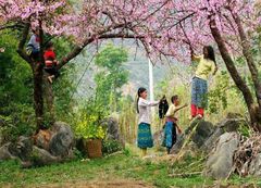 Tour du lịch Đức - Hà Lan - Bỉ - Pháp - Tối Mùng 1 Tết (Siêu tiết kiệm) Giá trọn gói